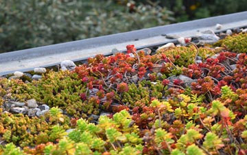the cost of Darlington green roof installation