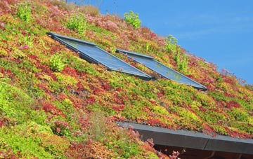 Darlington living roof systems